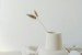 Kolekcjonowanie chińskiej porcelany